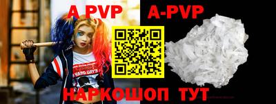 индика Кингисепп