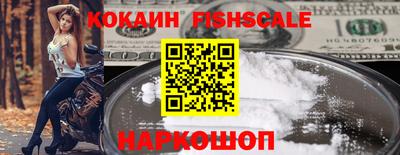индика Кингисепп