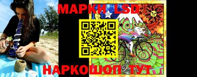 индика Кингисепп