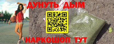 индика Кингисепп