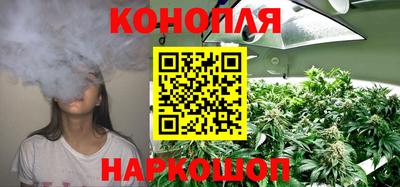 индика Кингисепп