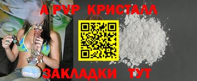 индика Кингисепп