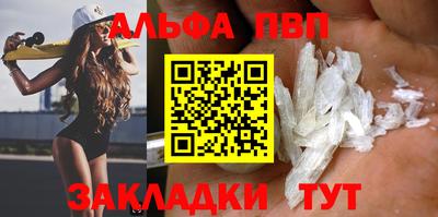 индика Кингисепп