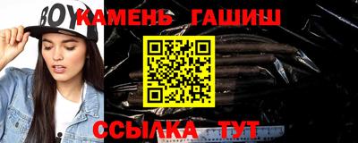 индика Кингисепп