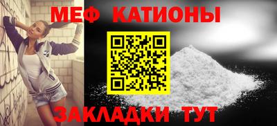 индика Кингисепп