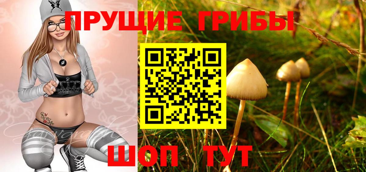Канск  Галлюциногенные грибы мухоморы  Вход с VPN 
